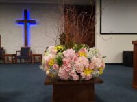 2019년 Mother's Day 꽃준비