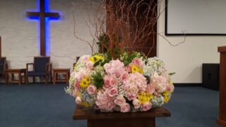 2019년 Mother's Day 꽃준비